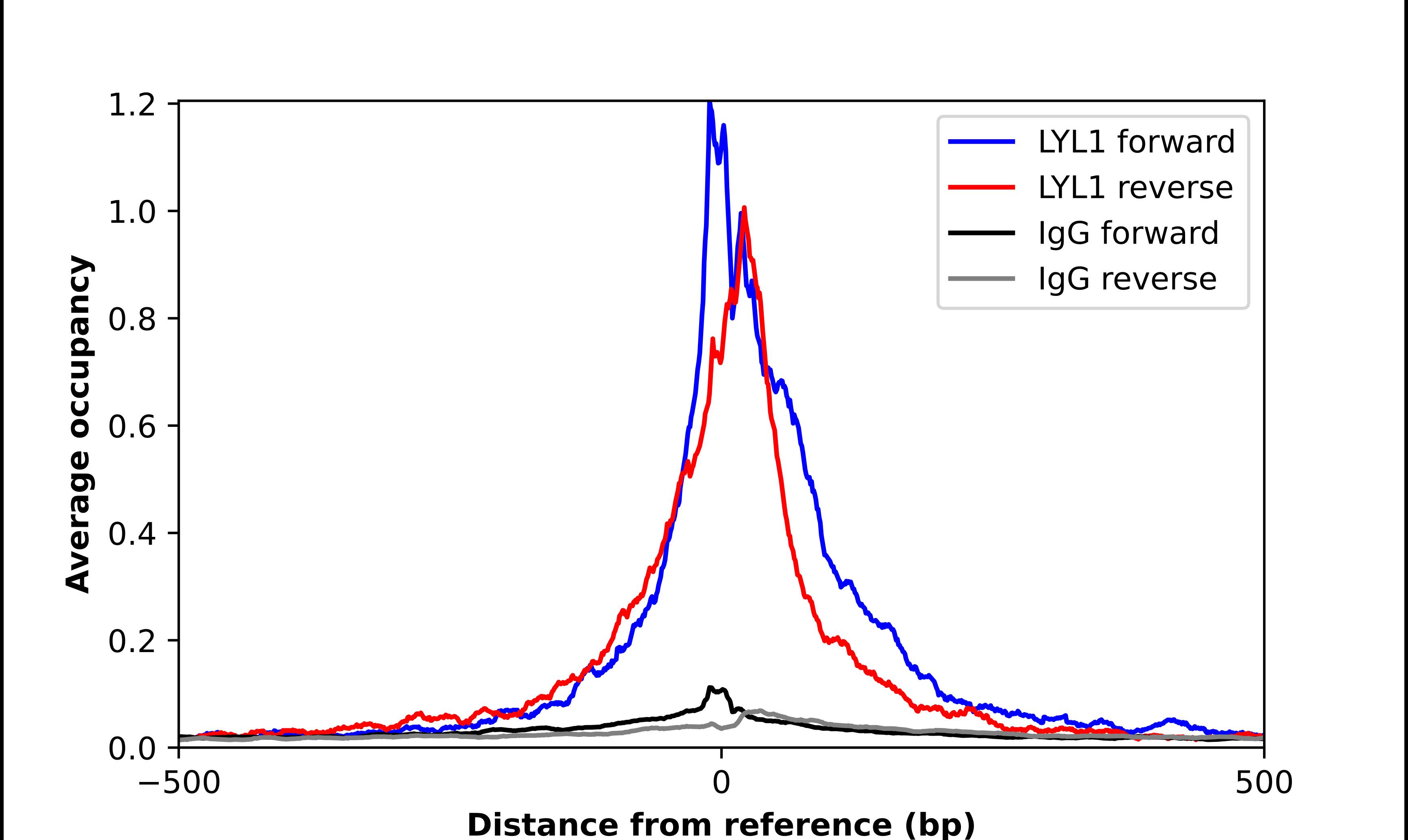 Lyl1 Antibody - BSA Free Chromatin Immunoprecipitation-exo-Seq: Lyl1 Antibody - BSA Free [NBP2-57910]