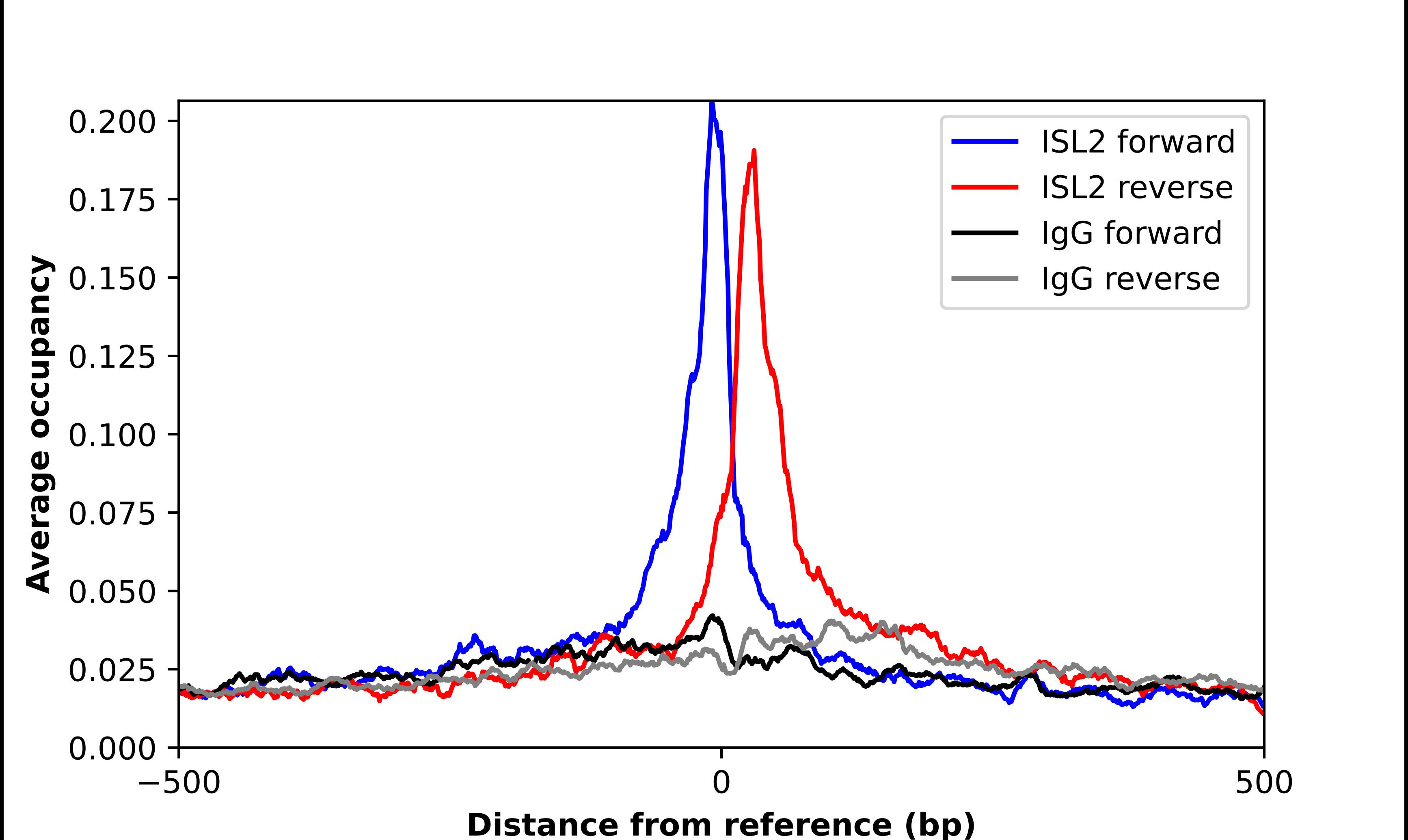 Islet-2 Antibody - BSA Free Chromatin Immunoprecipitation ChIP: Islet-2 Antibody - BSA Free