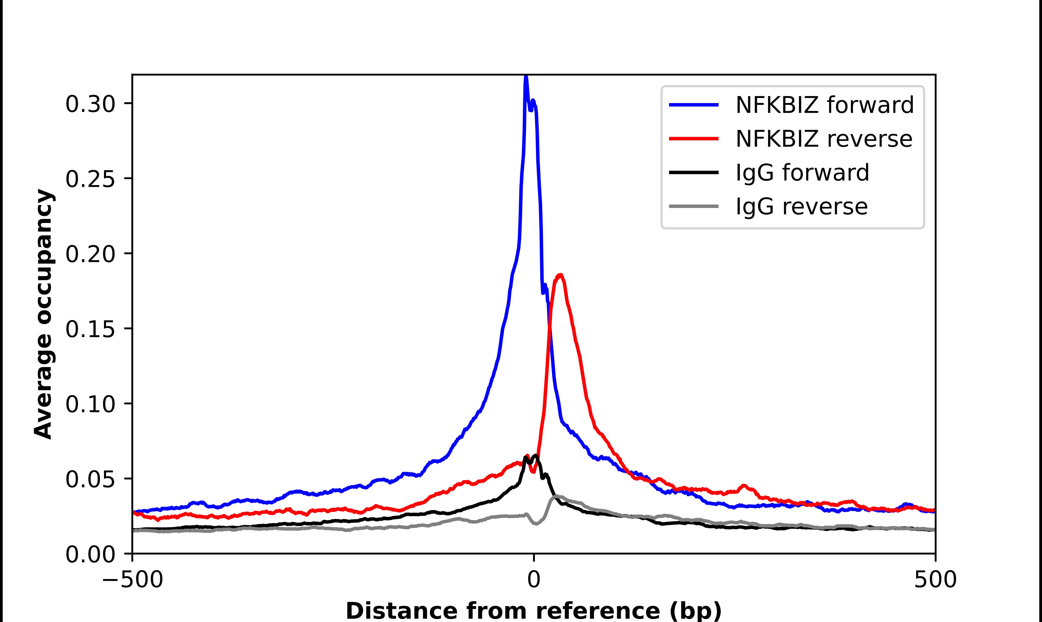 IKB zeta Antibody - BSA Free Chromatin Immunoprecipitation ChIP: IKB zeta Antibody - BSA Free