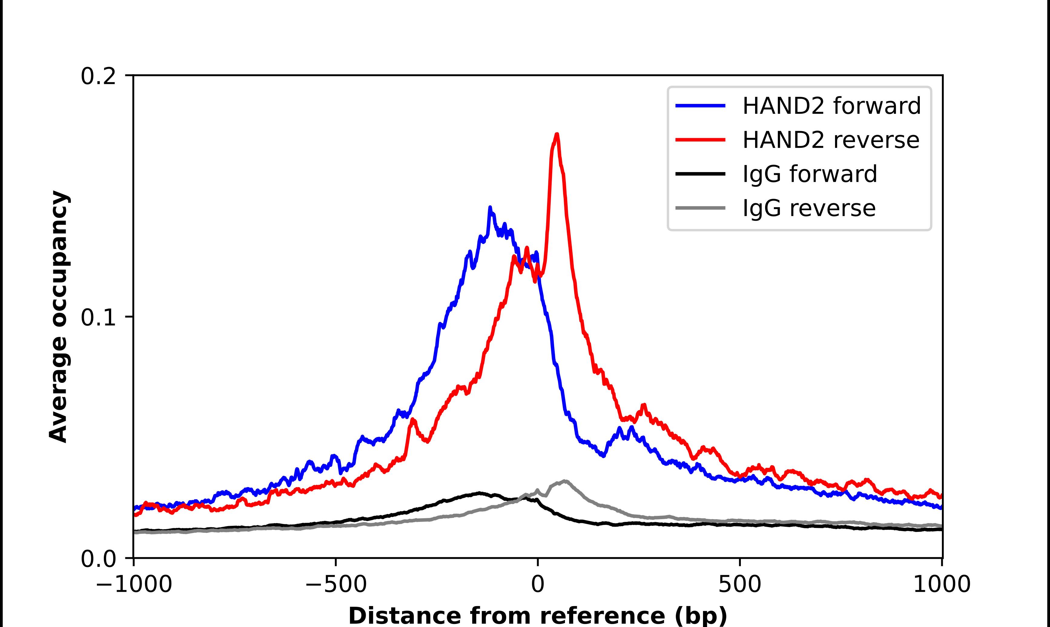 HAND2 Antibody - BSA Free Chromatin Immunoprecipitation-exo-Seq: HAND2 Antibody - BSA Free [NBP2-58062]