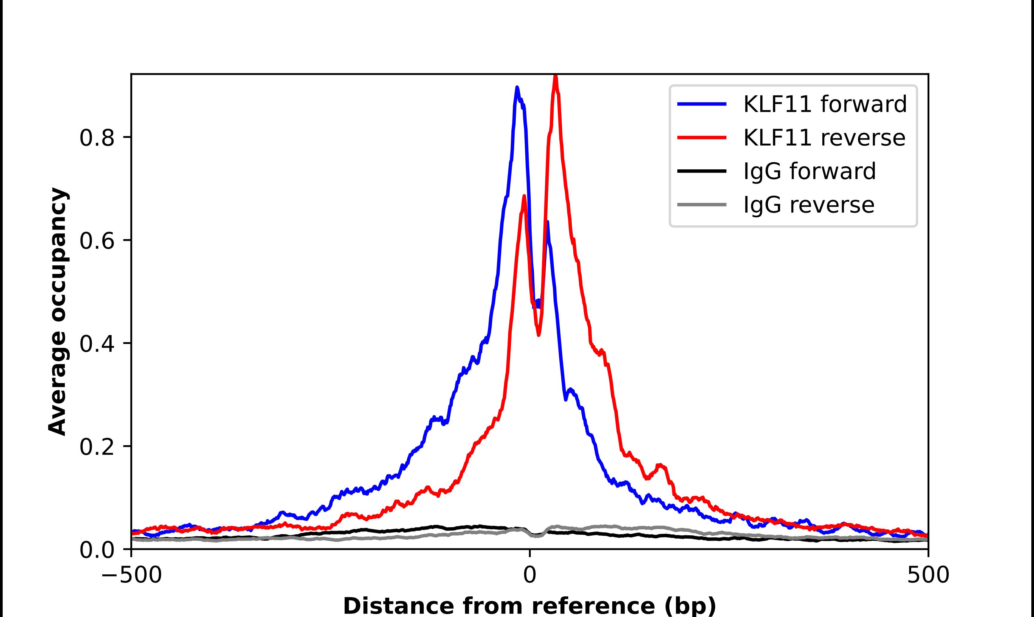 KLF11 Antibody - BSA Free Chromatin Immunoprecipitation-exo-Seq: KLF11 Antibody - BSA Free [NBP2-58081]