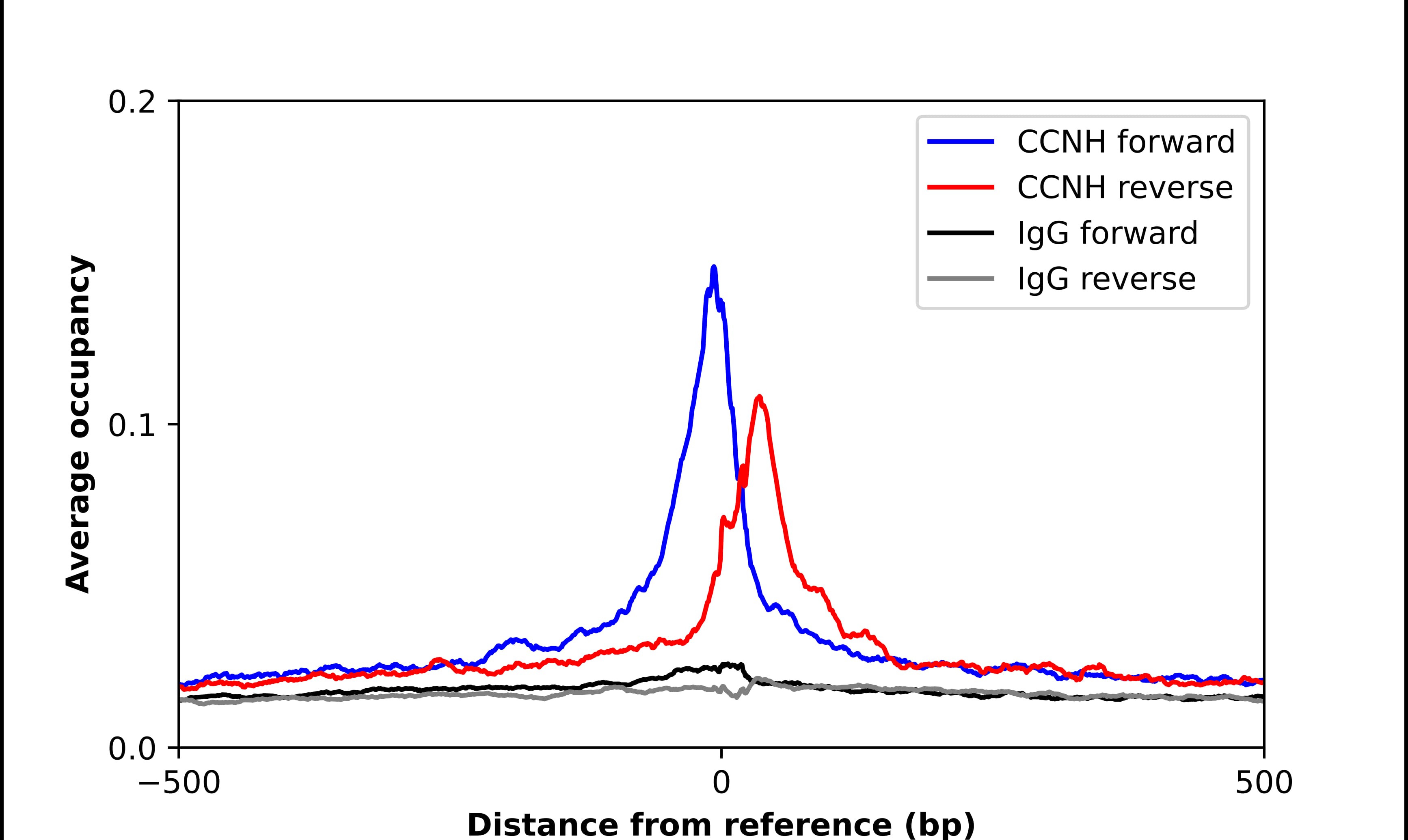 Cyclin H Antibody - BSA Free Chromatin Immunoprecipitation ChIP: Cyclin H Antibody - BSA Free