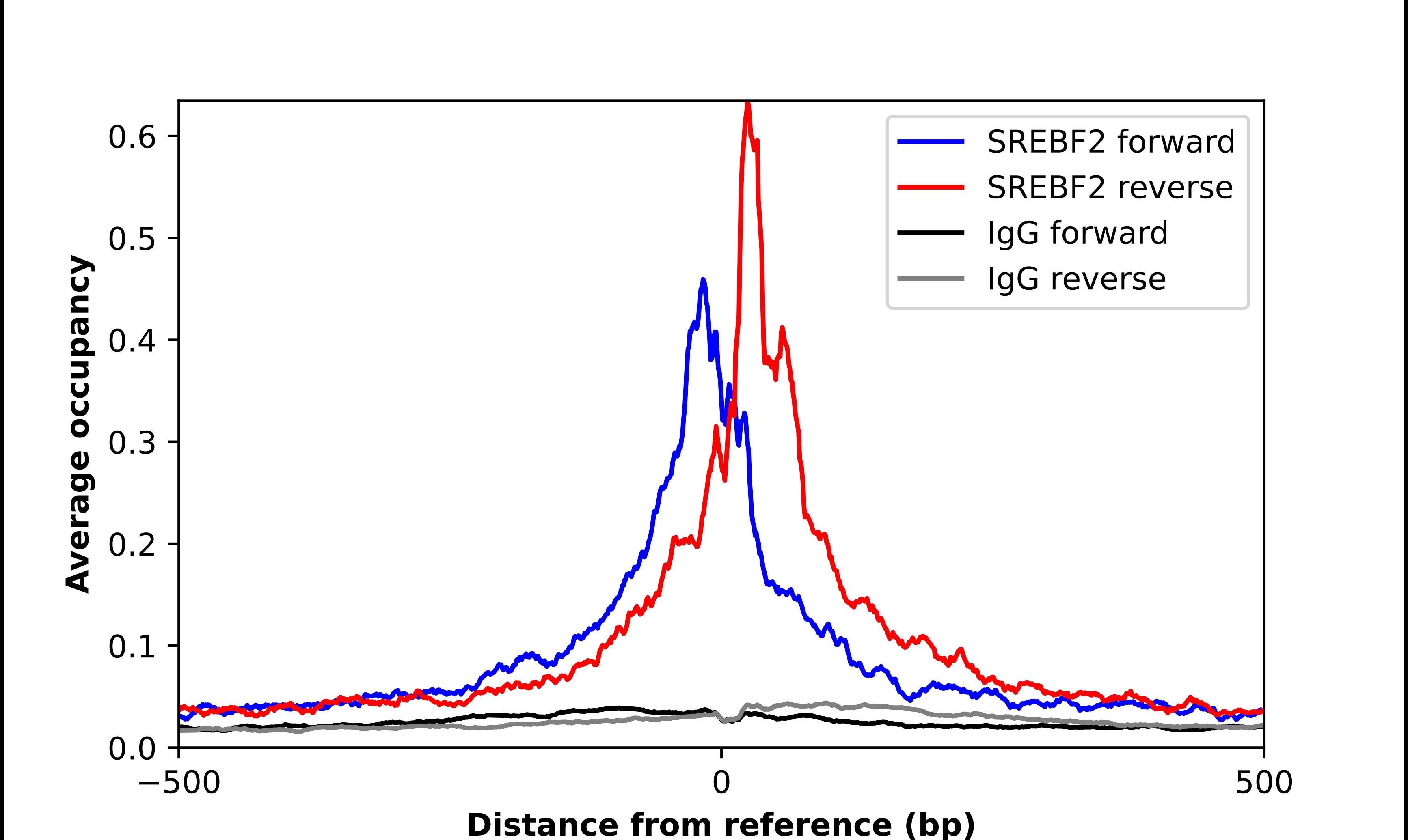 SREBP2 Antibody - BSA Free Chromatin Immunoprecipitation-exo-Seq: SREBP2 Antibody - BSA Free [NBP2-58133]