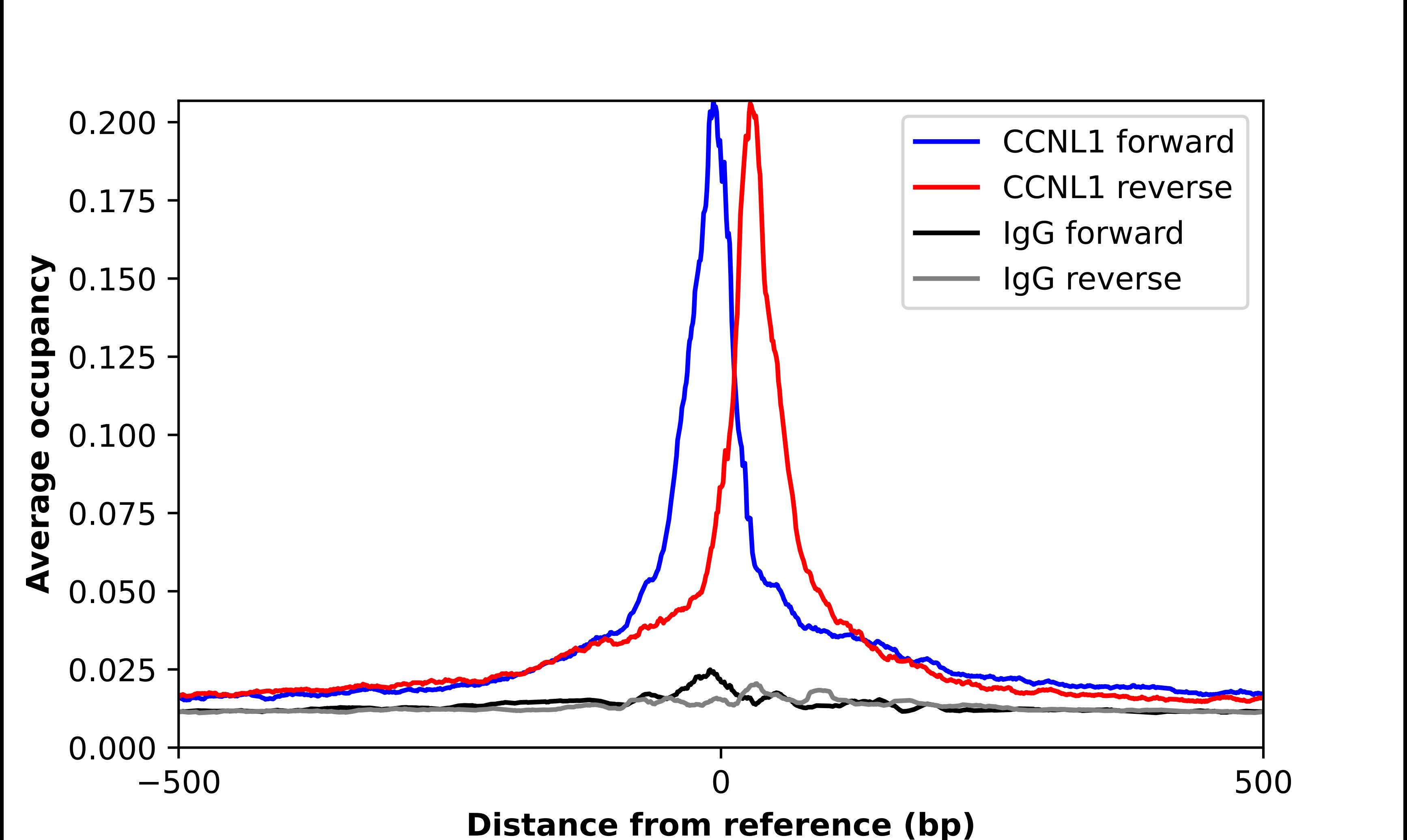 CCNL1 Antibody - BSA Free Chromatin Immunoprecipitation-exo-Seq: CCNL1 Antibody - BSA Free [NBP2-58232]