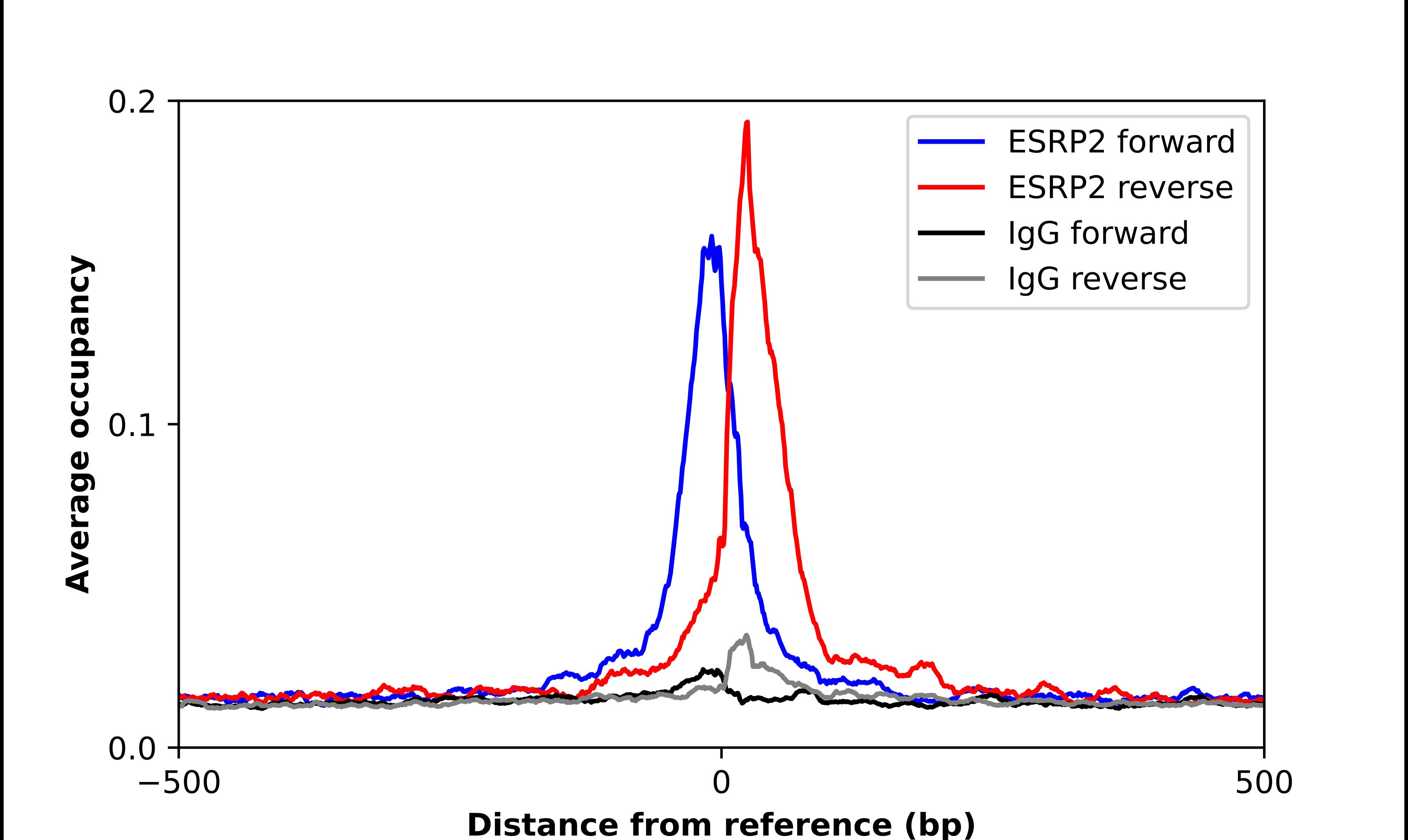 ESRP2 Antibody - BSA Free Chromatin Immunoprecipitation ChIP: ESRP2 Antibody - BSA Free