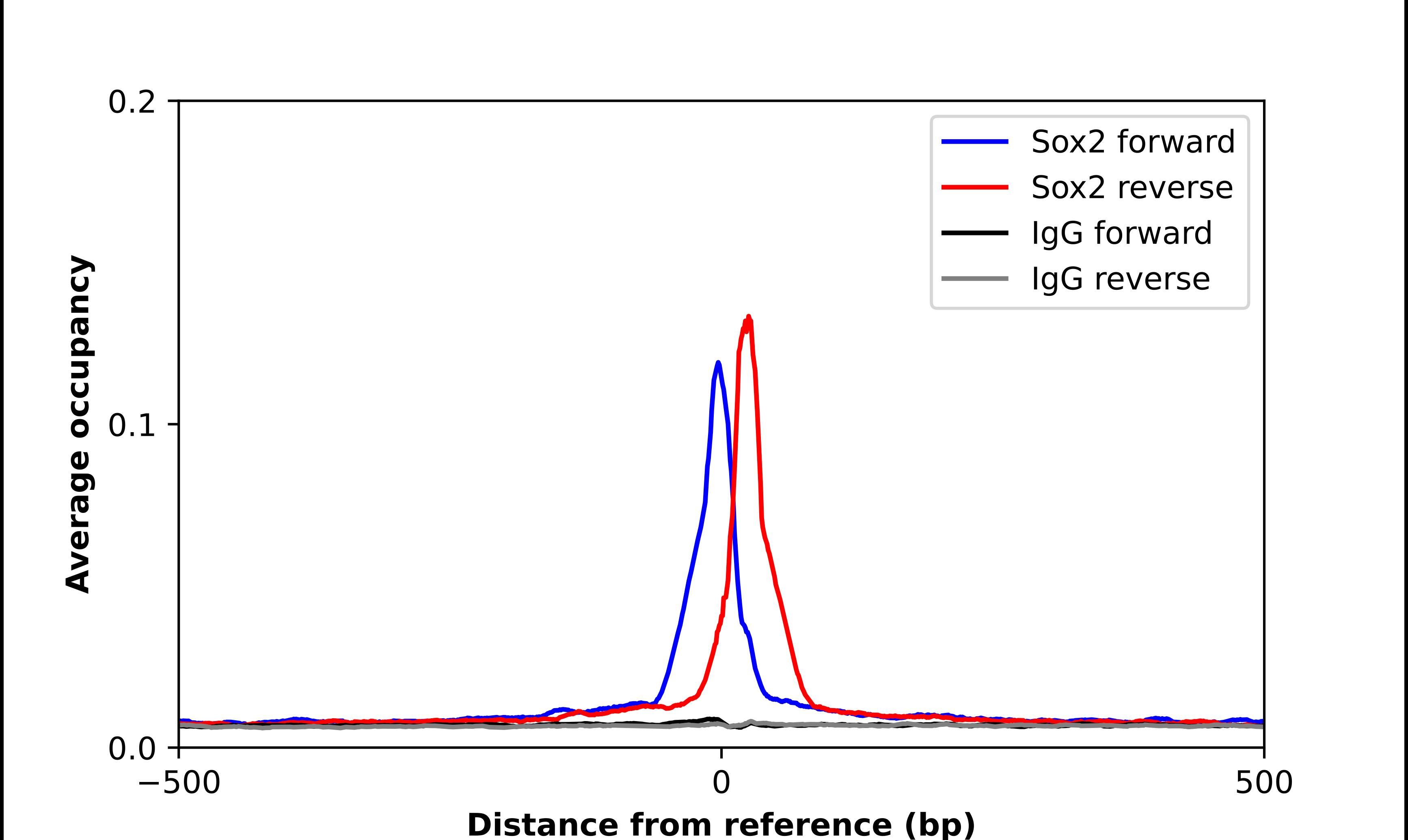 SOX2 Antibody - BSA Free Chromatin Immunoprecipitation-exo-Seq: SOX2 Antibody - BSA Free [NBP2-58318]