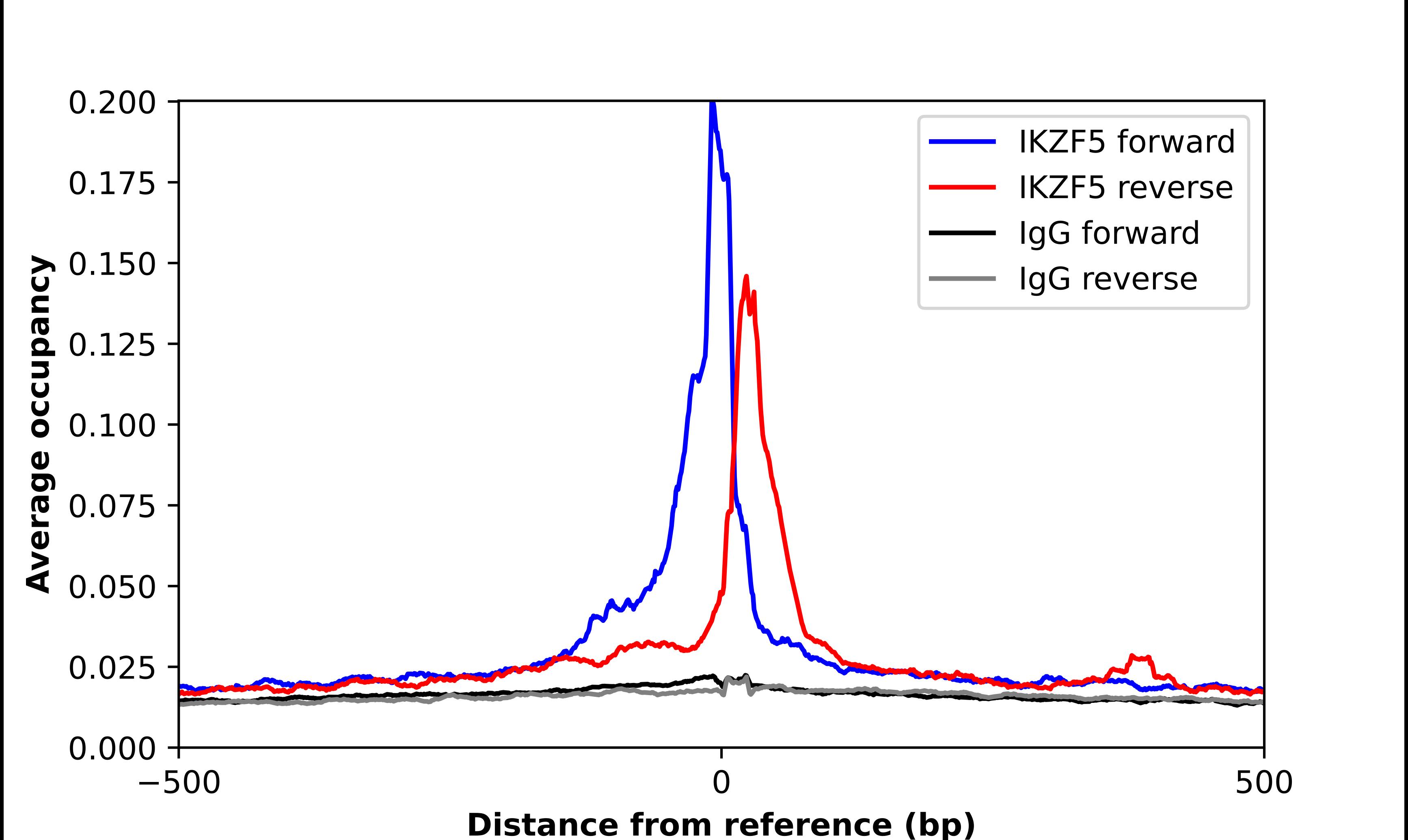 IKZF5 Antibody - BSA Free Chromatin Immunoprecipitation ChIP: IKZF5 Antibody - BSA Free