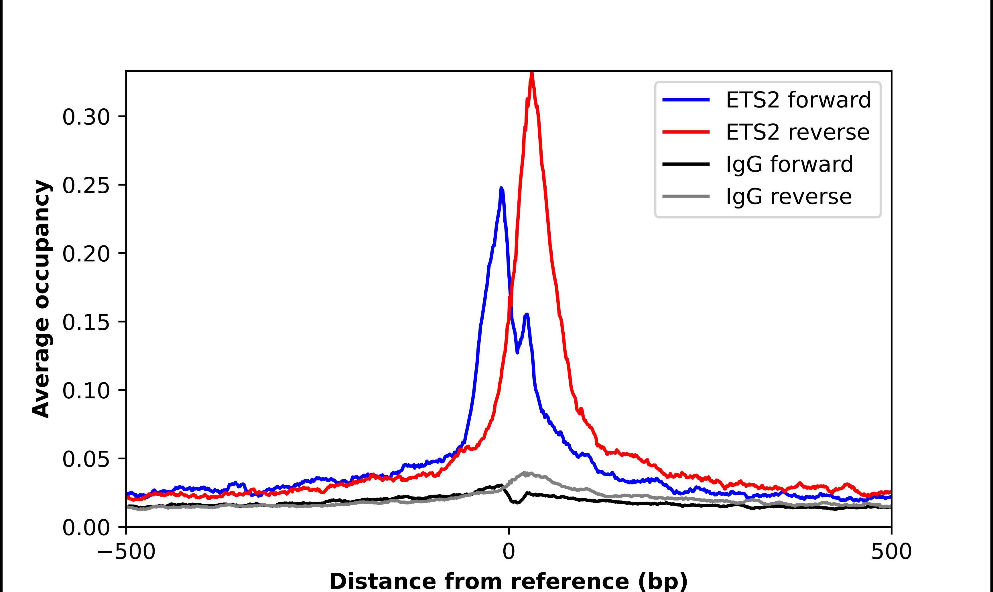 ETS2 Antibody - BSA Free Chromatin Immunoprecipitation-exo-Seq: ETS2 Antibody - BSA Free [NBP2-58355]