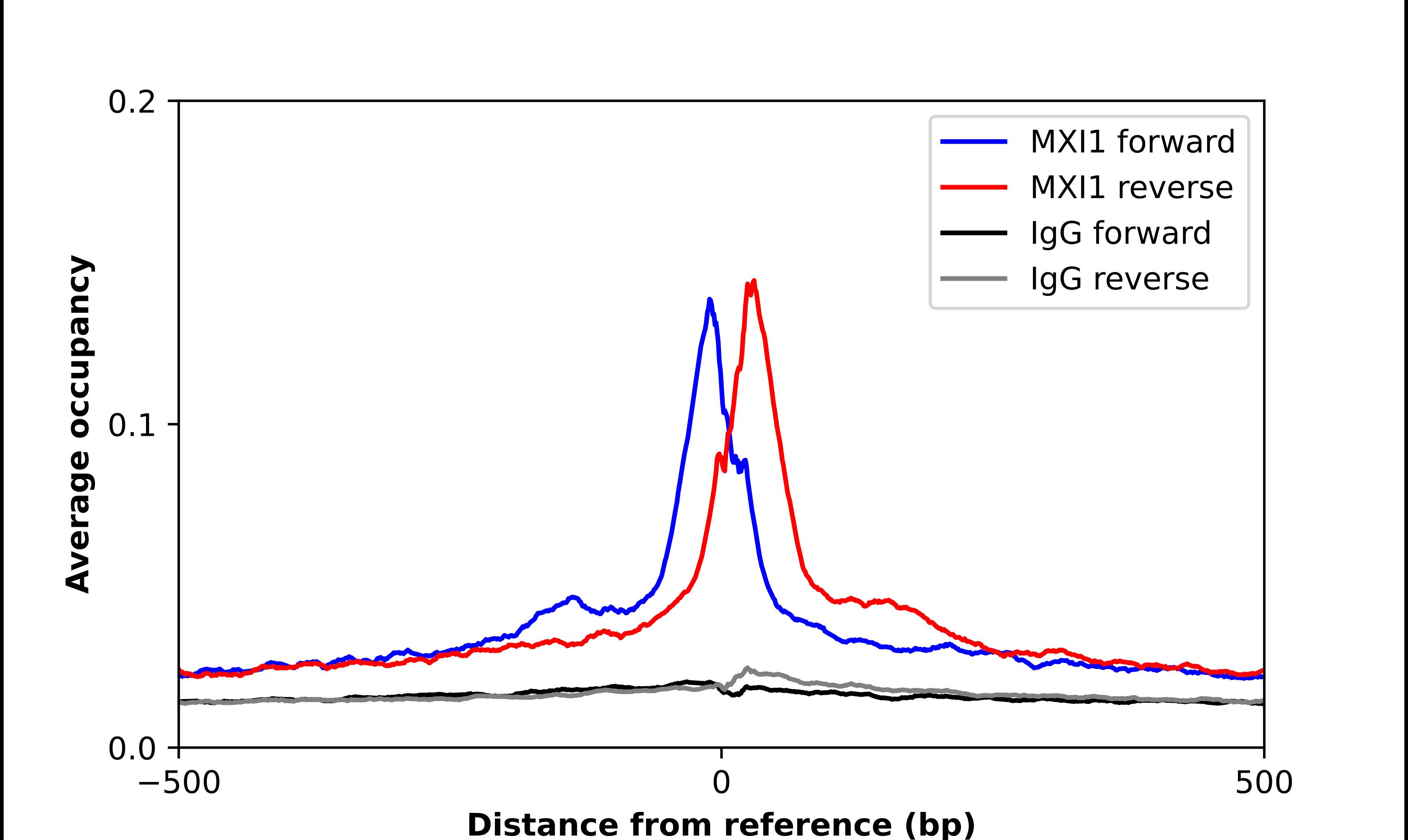 Mxi1 Antibody - BSA Free Chromatin Immunoprecipitation-exo-Seq: Mxi1 Antibody - BSA Free [NBP2-58356]