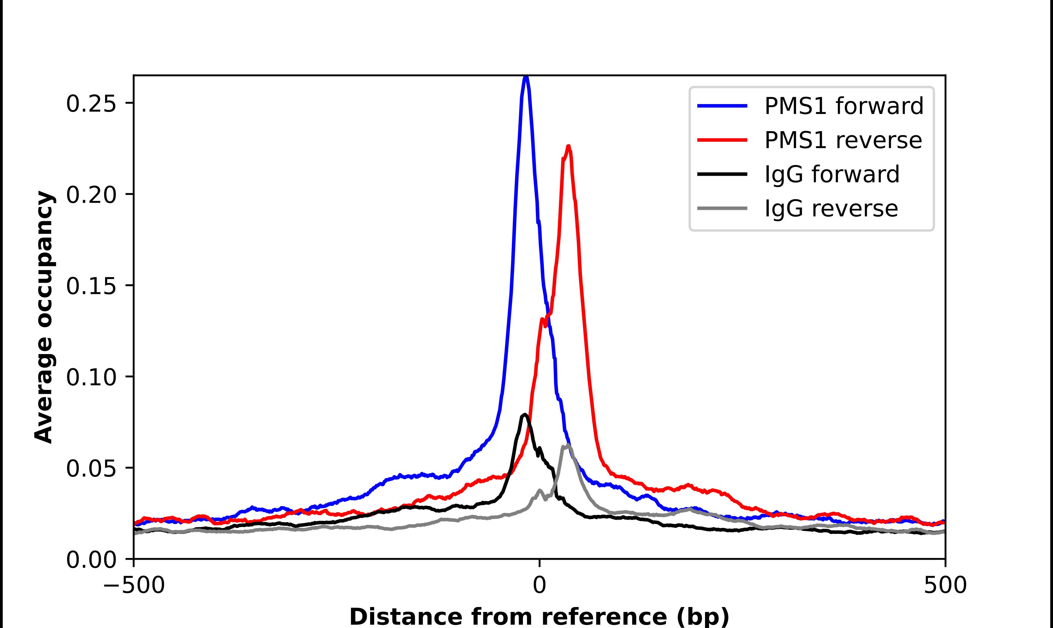 PMS1 Antibody - BSA Free Chromatin Immunoprecipitation ChIP: PMS1 Antibody - BSA Free