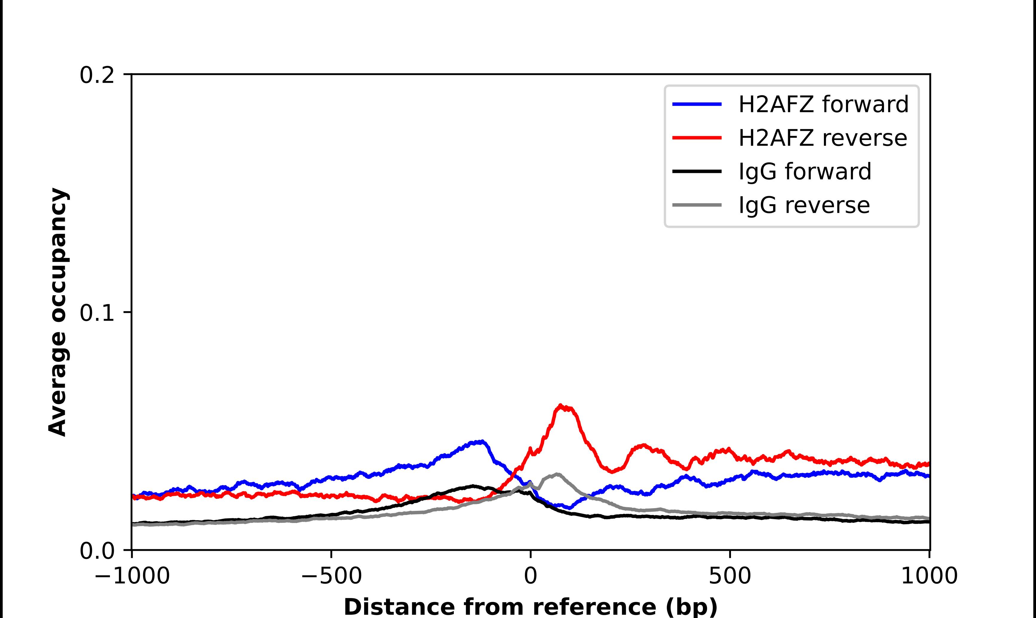 Histone H2A.Z Antibody - BSA Free Chromatin Immunoprecipitation-exo-Seq: Histone H2A.Z Antibody - BSA Free [NBP2-58444]
