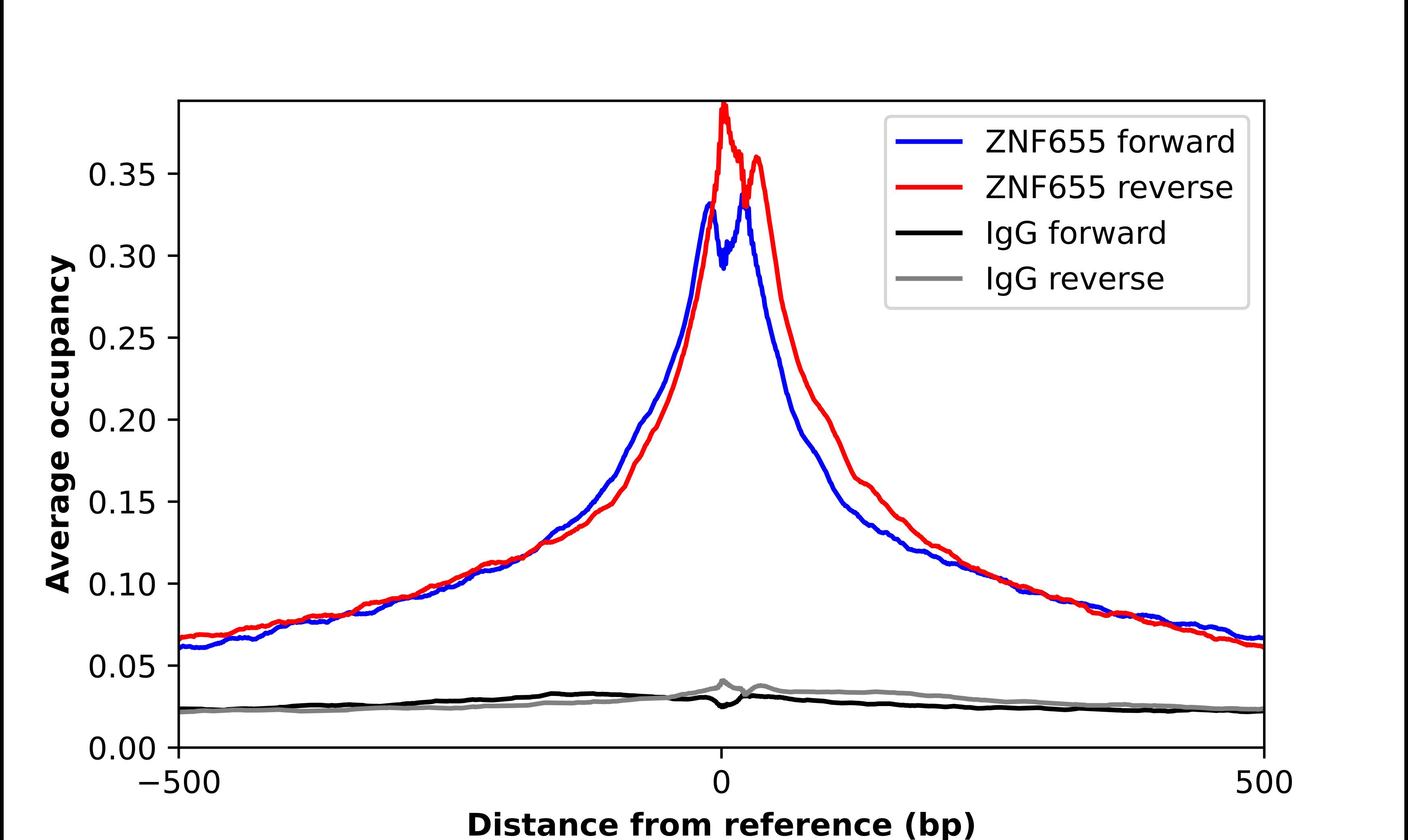 ZNF655 Antibody - BSA Free Chromatin Immunoprecipitation-exo-Seq: ZNF655 Antibody - BSA Free [NBP2-58467]