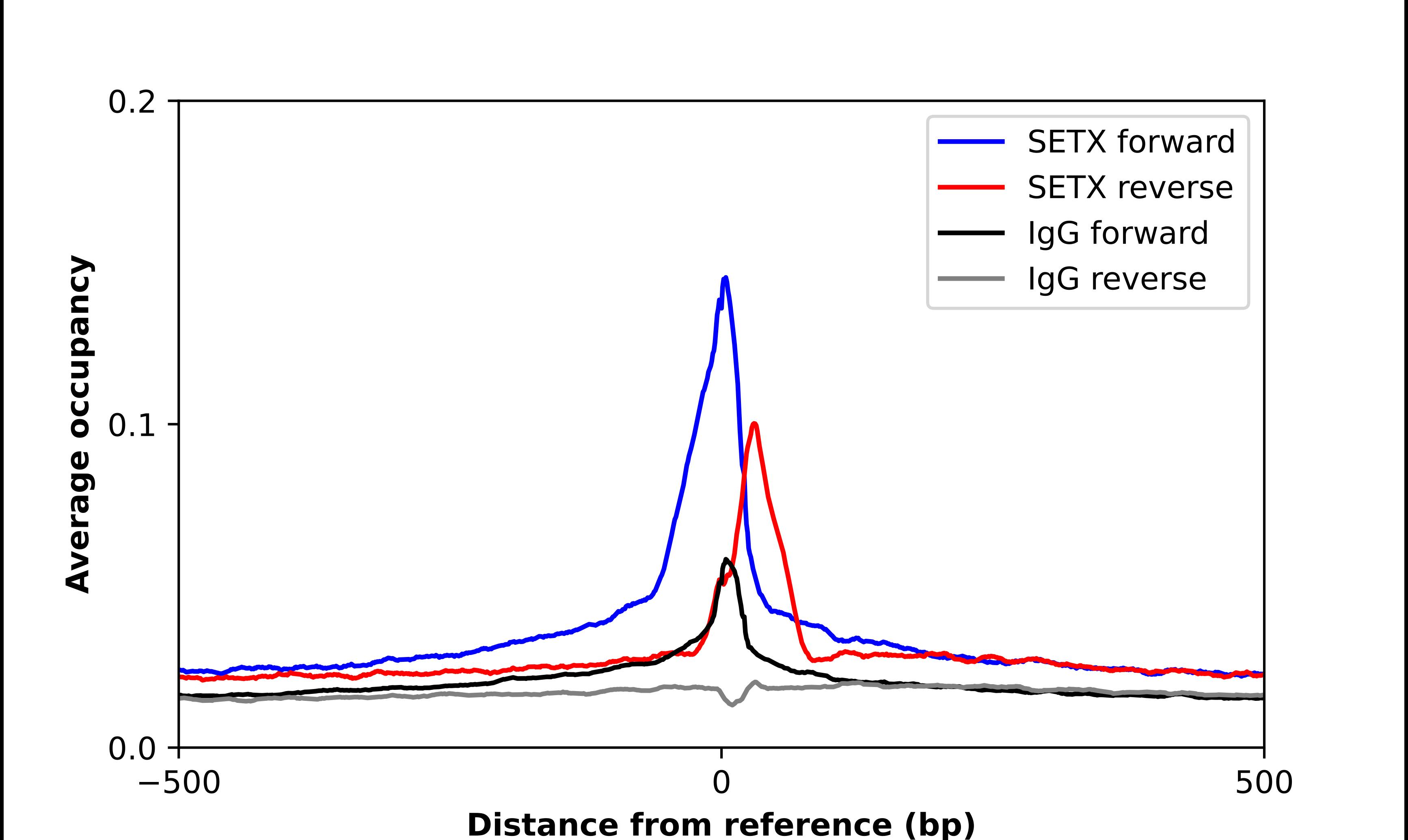 Senataxin Antibody - BSA Free Chromatin Immunoprecipitation ChIP: Senataxin Antibody - BSA Free