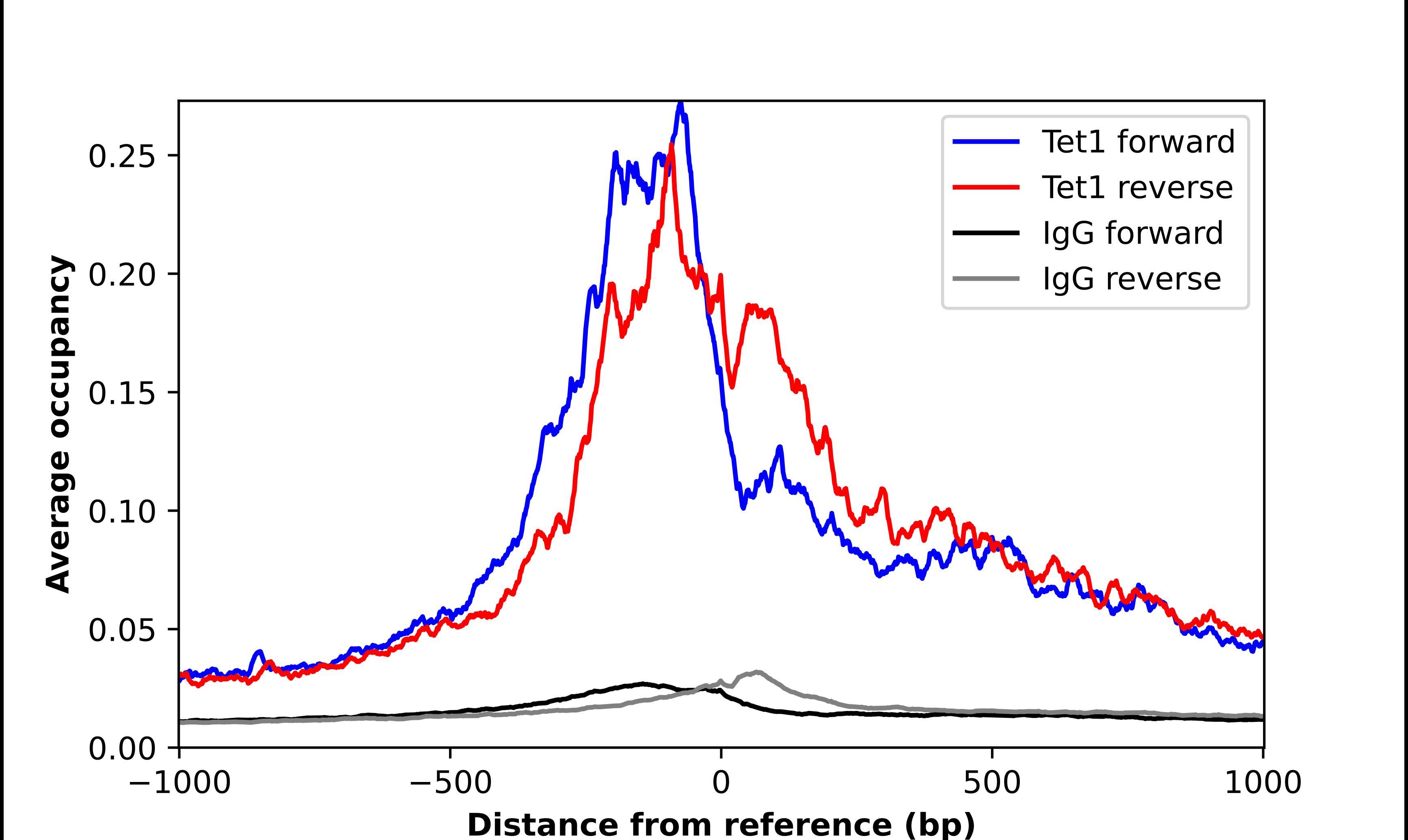 TET1 Antibody - BSA Free Chromatin Immunoprecipitation-exo-Seq: TET1 Antibody - BSA Free [NBP2-58496]