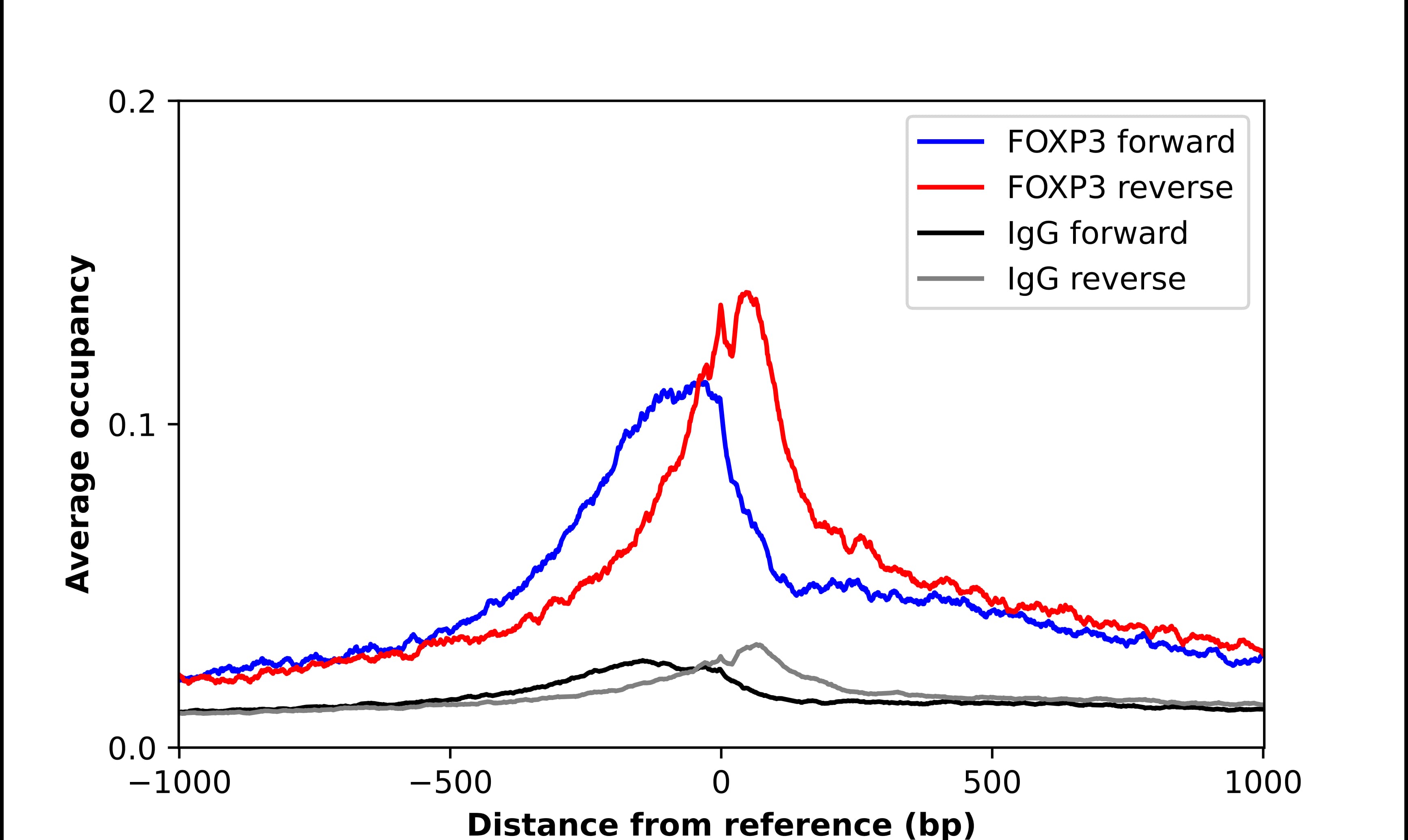 FoxP3 Antibody - BSA Free Chromatin Immunoprecipitation-exo-Seq: FoxP3 Antibody - BSA Free [NBP2-58697]