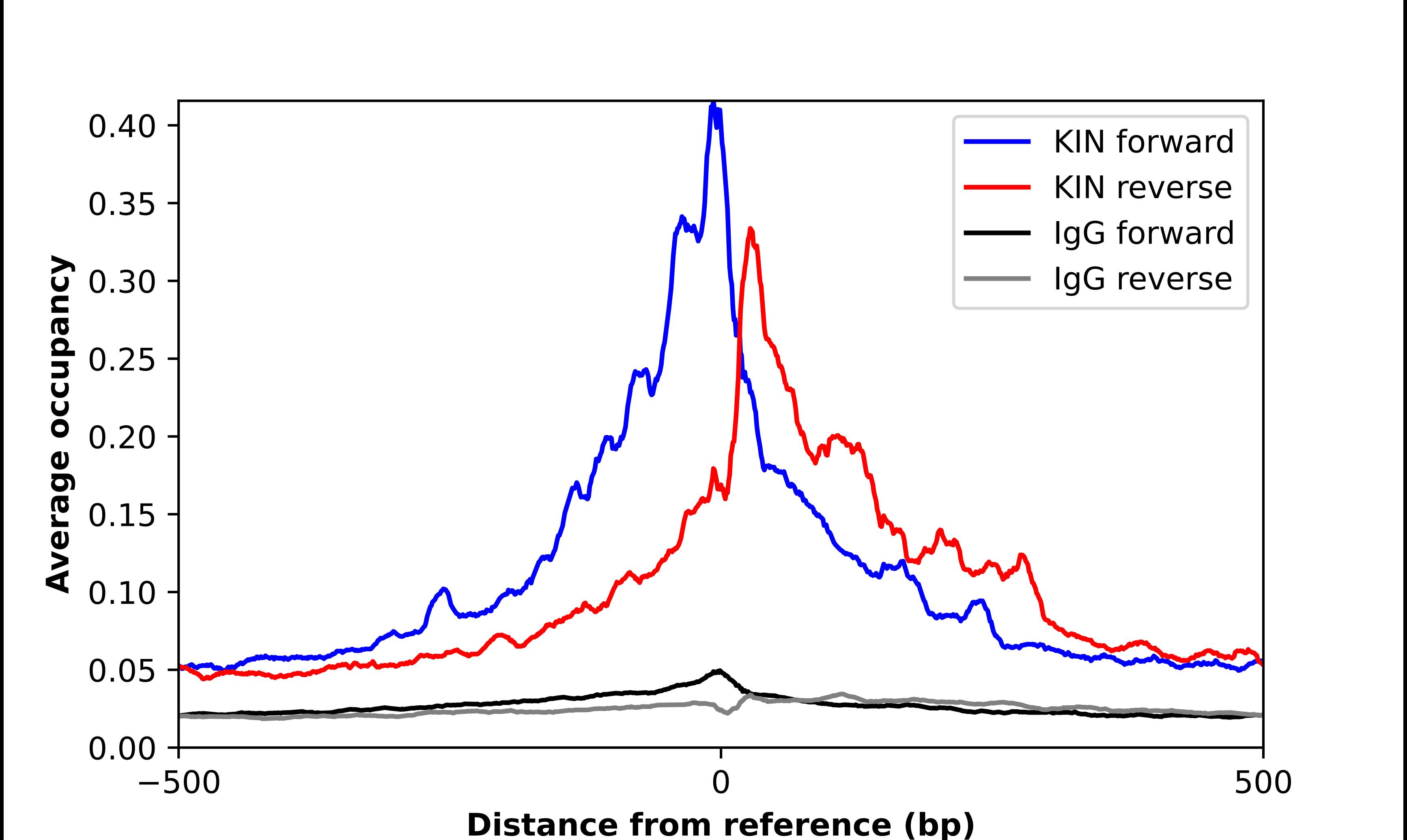 KIN Antibody - BSA Free Chromatin Immunoprecipitation-exo-Seq: KIN Antibody - BSA Free [NBP2-58750]