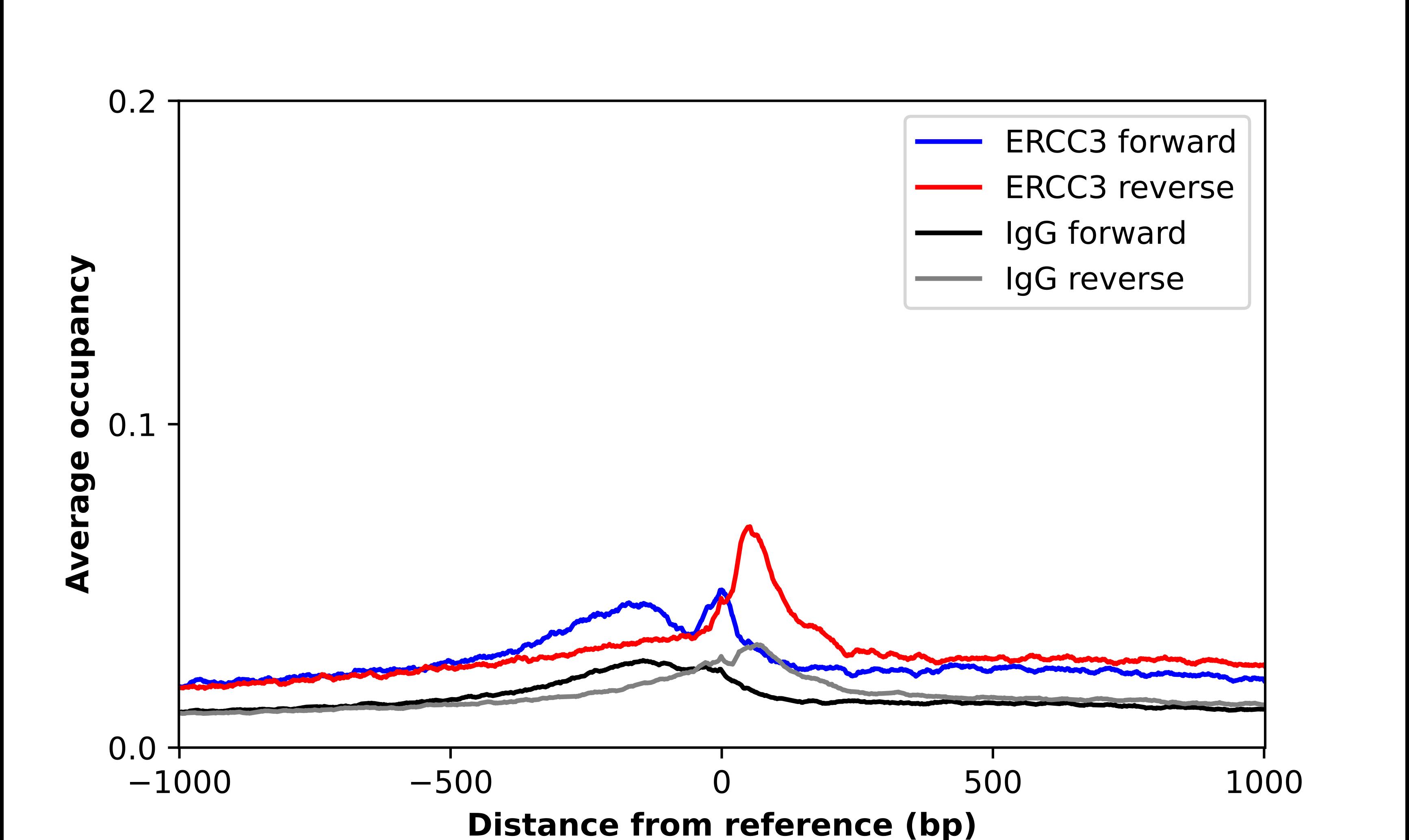 XPB Antibody - BSA Free Chromatin Immunoprecipitation-exo-Seq: XPB Antibody - BSA Free [NBP2-58758]