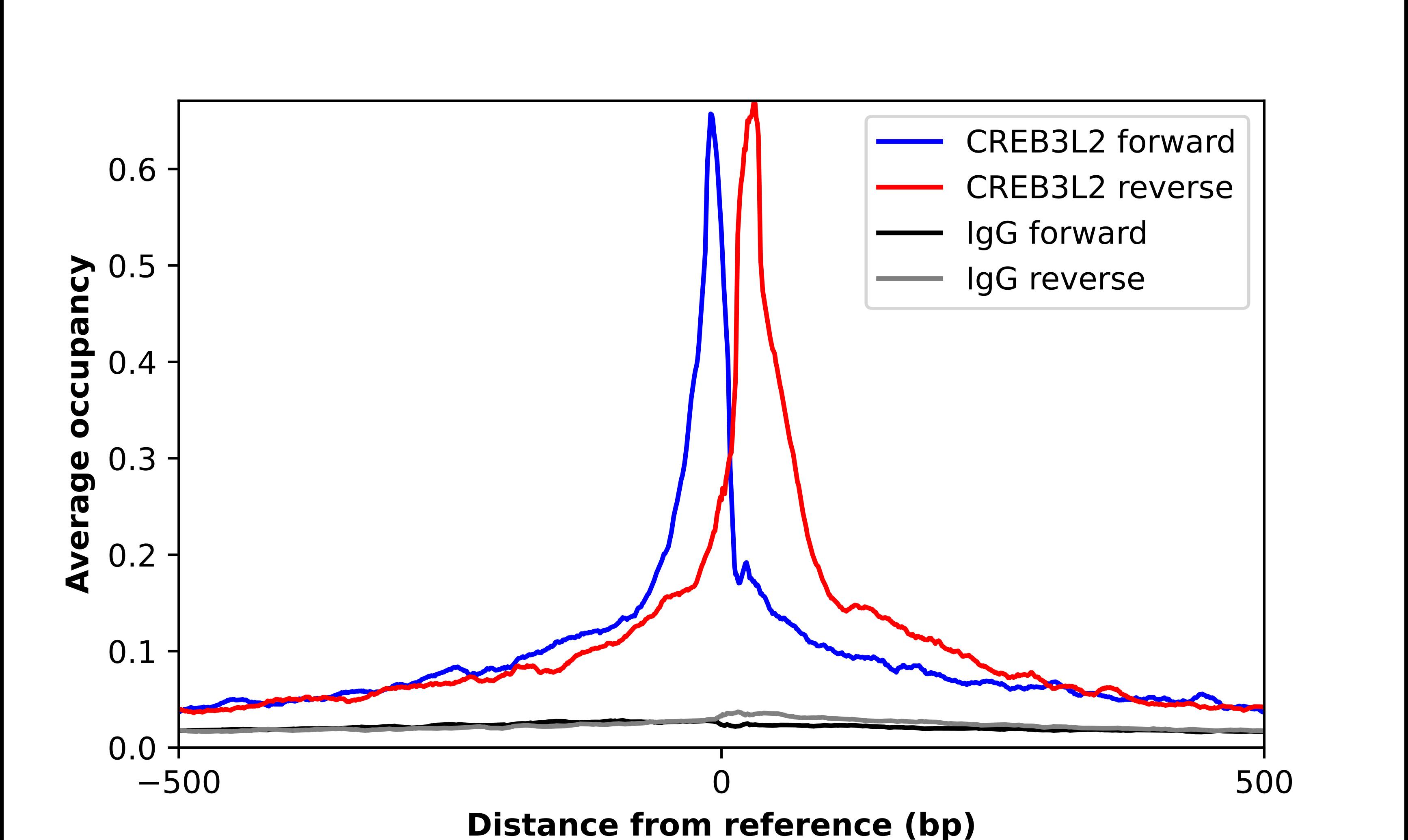 CREB3L2 Antibody - BSA Free Chromatin Immunoprecipitation ChIP: CREB3L2 Antibody - BSA Free