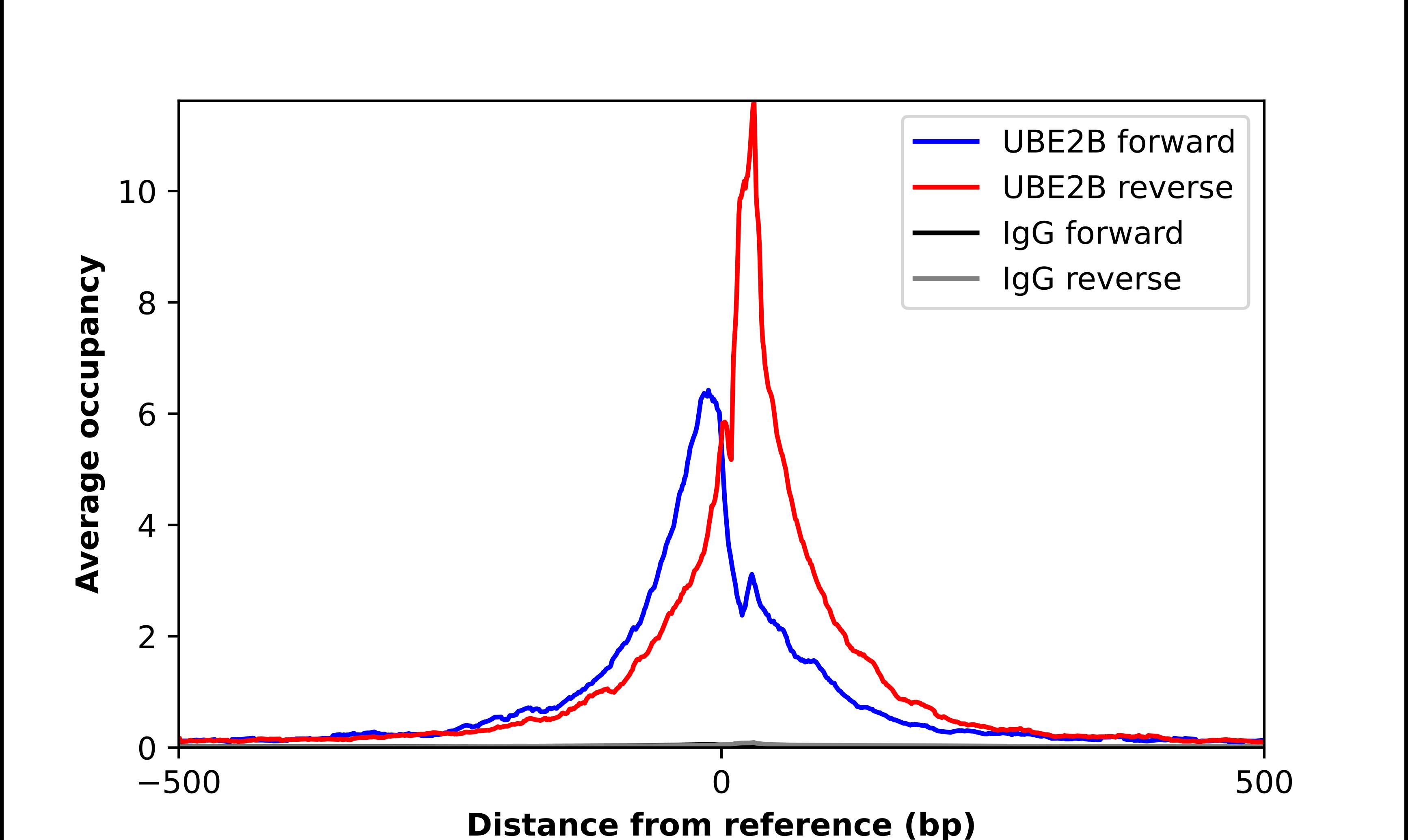 HR6B/UBE2B Antibody - BSA Free Chromatin Immunoprecipitation-exo-Seq: HR6B/UBE2B Antibody - BSA Free [NBP2-58772]