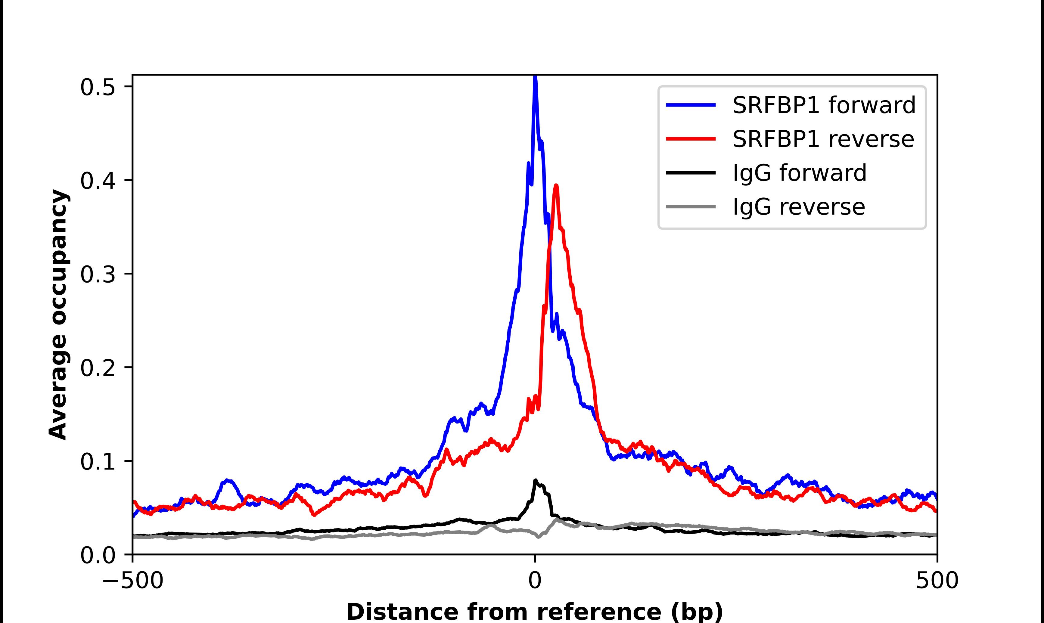 SRFBP1 Antibody - BSA Free Chromatin Immunoprecipitation-exo-Seq: SRFBP1 Antibody - BSA Free [NBP2-58809]