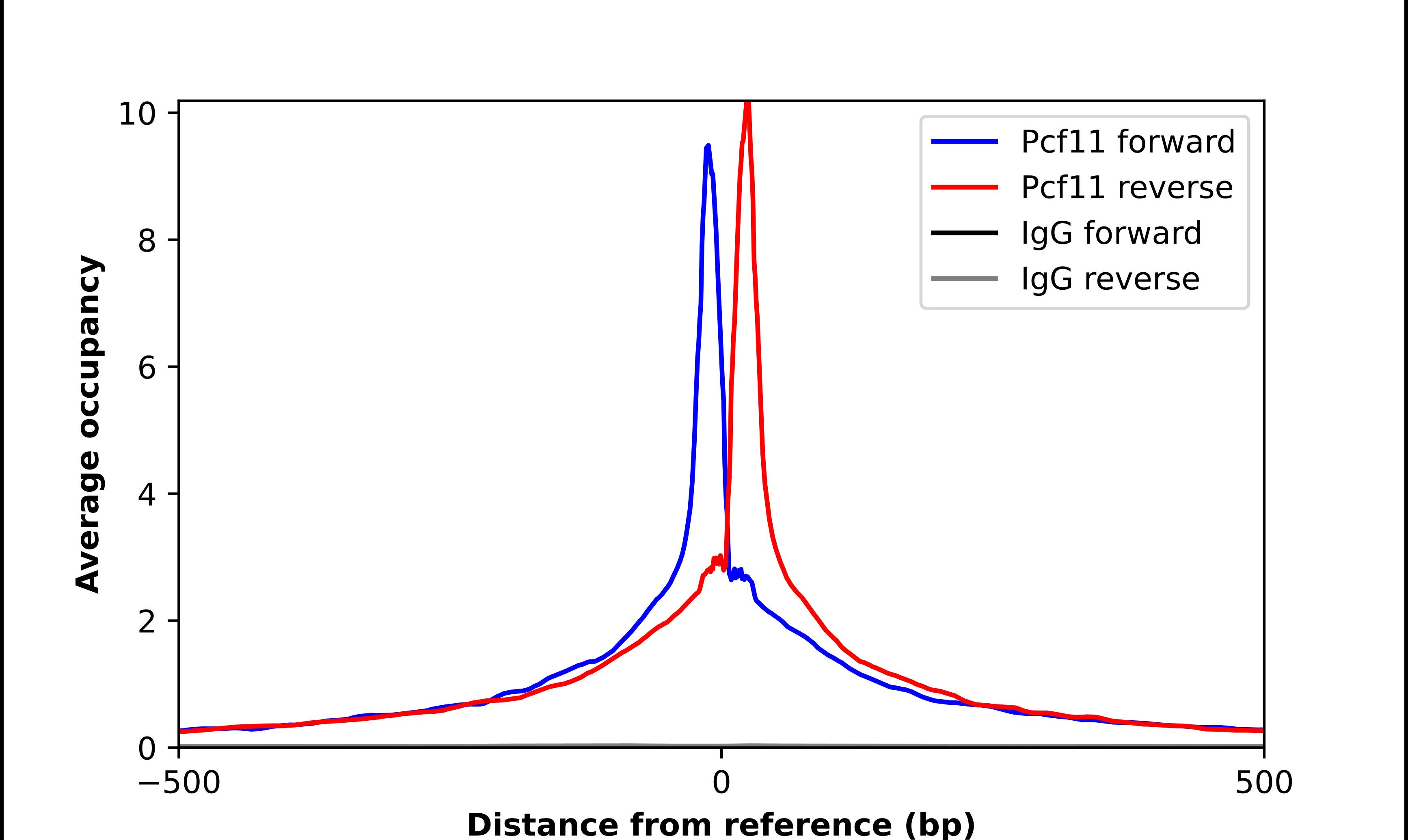 PCF11 Antibody - BSA Free Chromatin Immunoprecipitation-exo-Seq: PCF11 Antibody - BSA Free [NBP2-58854]