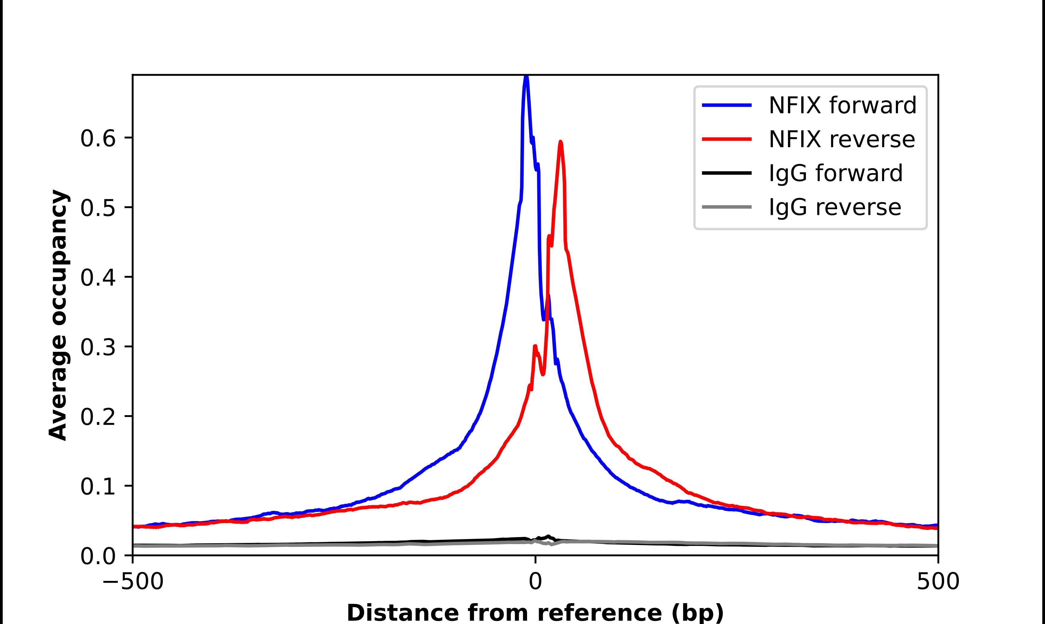 NFIX Antibody - BSA Free Chromatin Immunoprecipitation-exo-Seq: NFIX Antibody - BSA Free [NBP2-58904]
