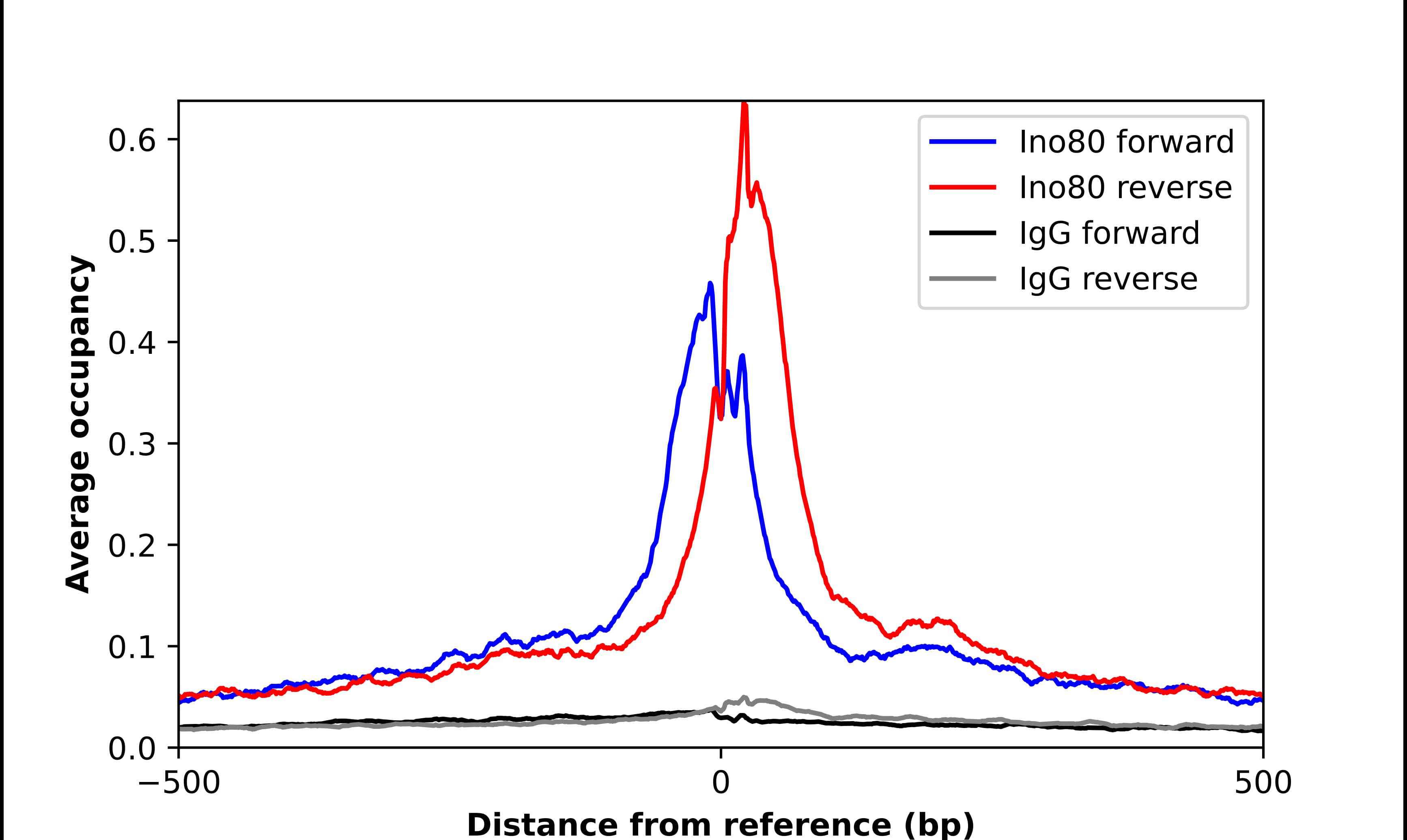 INO80 Antibody - BSA Free Chromatin Immunoprecipitation-exo-Seq: INO80 Antibody - BSA Free [NBP2-58963]