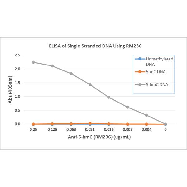 5-hmC Antibody (RM236)