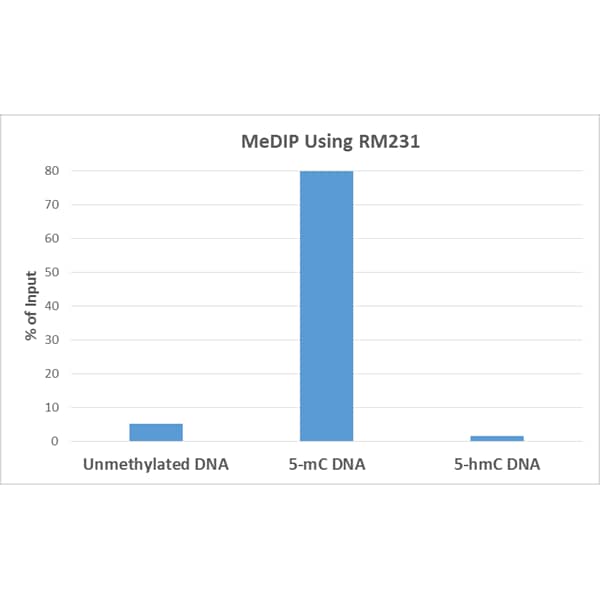 5-MethylCytosine Antibody (RM231)