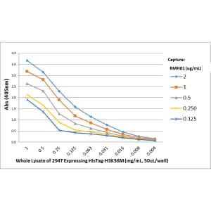 His Tag Antibody (RMH01) - Chimeric