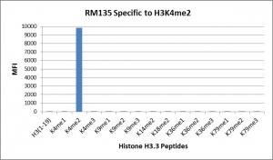 Histone H3 [Dimethyl Lys4] Antibody (RM135)