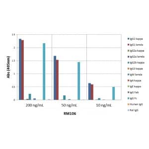 IgG1 Antibody (RM106) [Biotin]