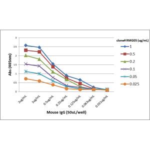 IgG F(ab) Antibody (RMG05)