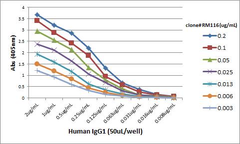 IgG Heavy Chain Antibody (RM116)