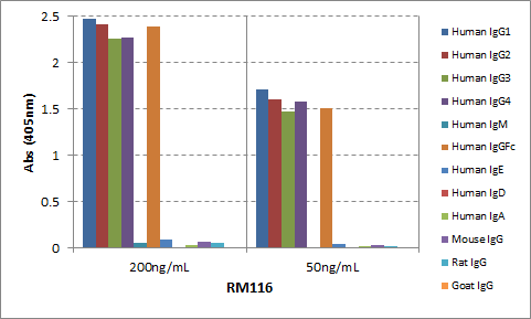 IgG Heavy Chain Antibody (RM116) [Biotin]