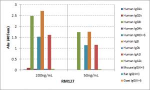 Lambda Light Chain Antibody (RM127)