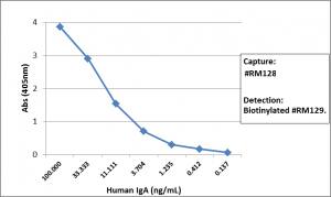 IgA Antibody (RM128)