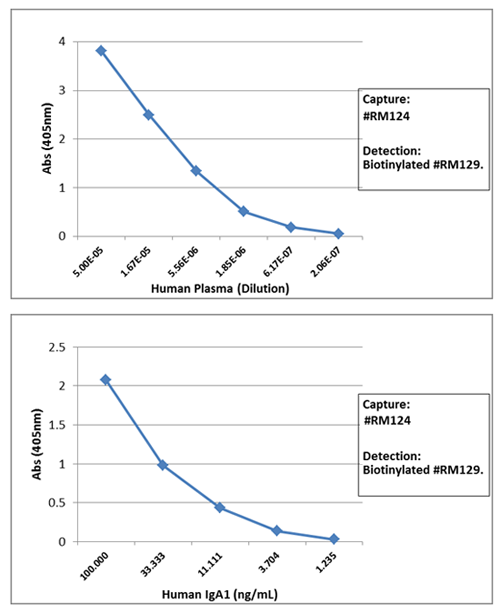 IgA1 Antibody (RM124)
