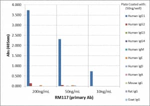 IgG1 Antibody (RM117) [Biotin]