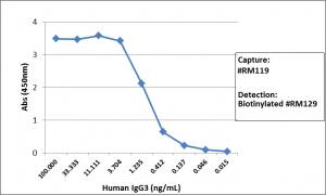 IgG3 Antibody (RM119) [Biotin]