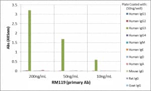 IgG3 Antibody (RM119) [Biotin]