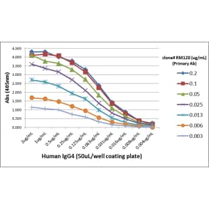 IgG4 Antibody (RM120)