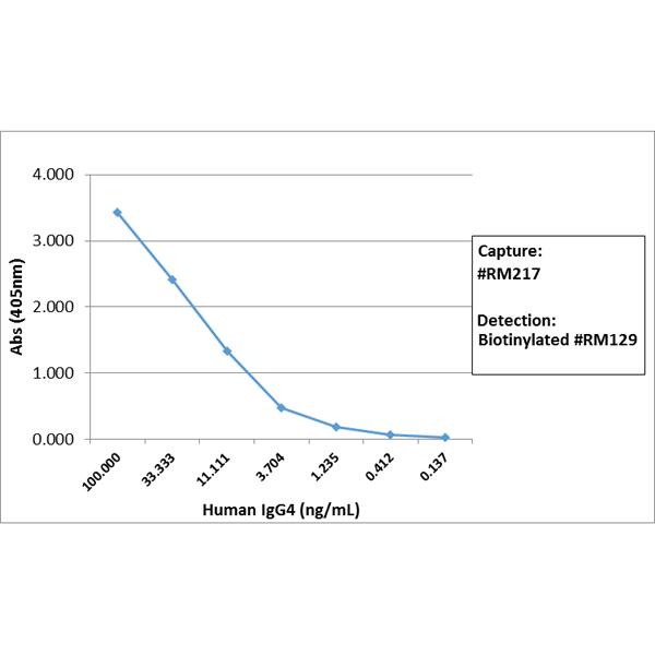 IgG4 Fc Antibody (RM217)