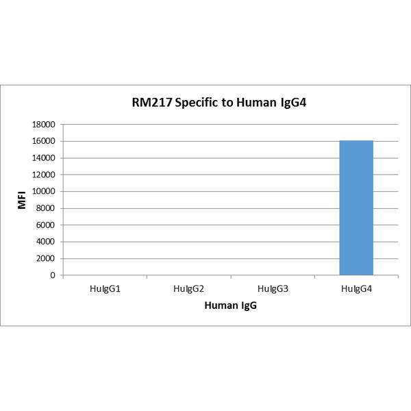 IgG4 Fc Antibody (RM217)