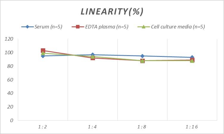 Human MICB ELISA Kit (Colorimetric)