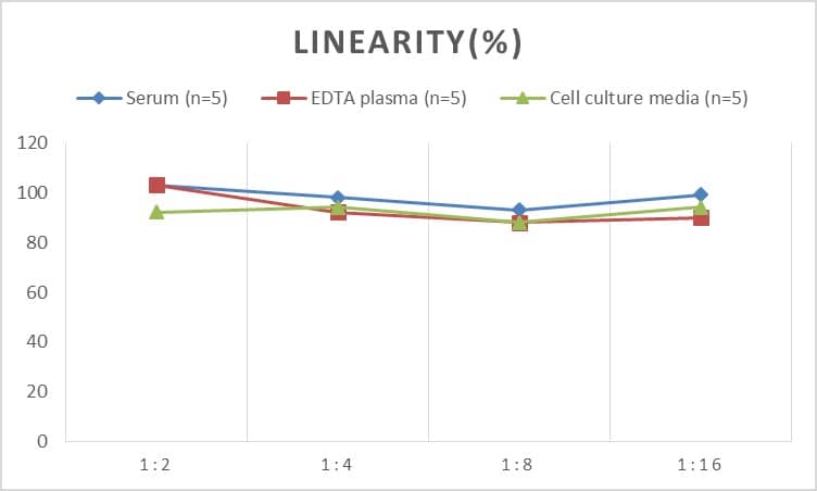 Human Cathepsin S ELISA Kit (Colorimetric)