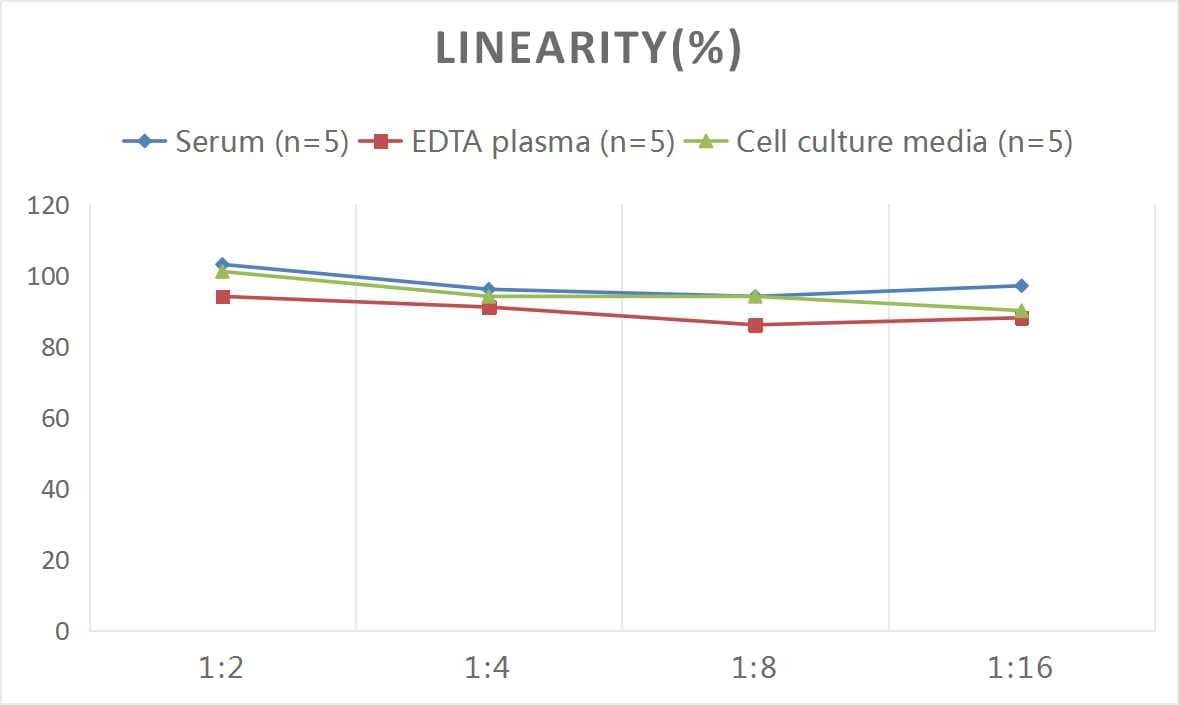 Human GDF-11/BMP-11 ELISA Kit (Colorimetric)