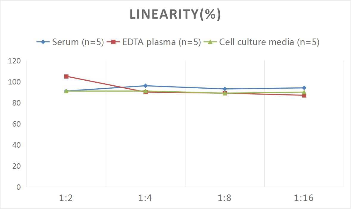 Human Indoleamine 2,3-dioxygenase/IDO ELISA Kit (Colorimetric)