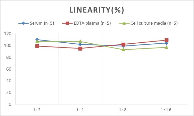 Human TDP-43/TARDBP ELISA Kit (Chemiluminescence)