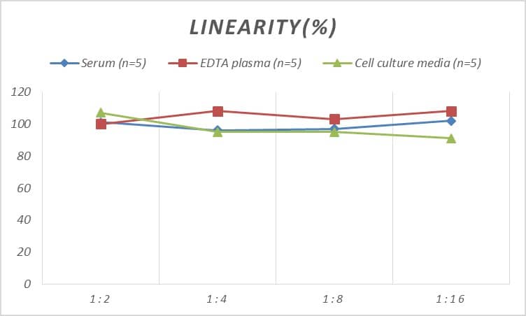 Human alpha-Synuclein ELISA Kit (Chemiluminescence)